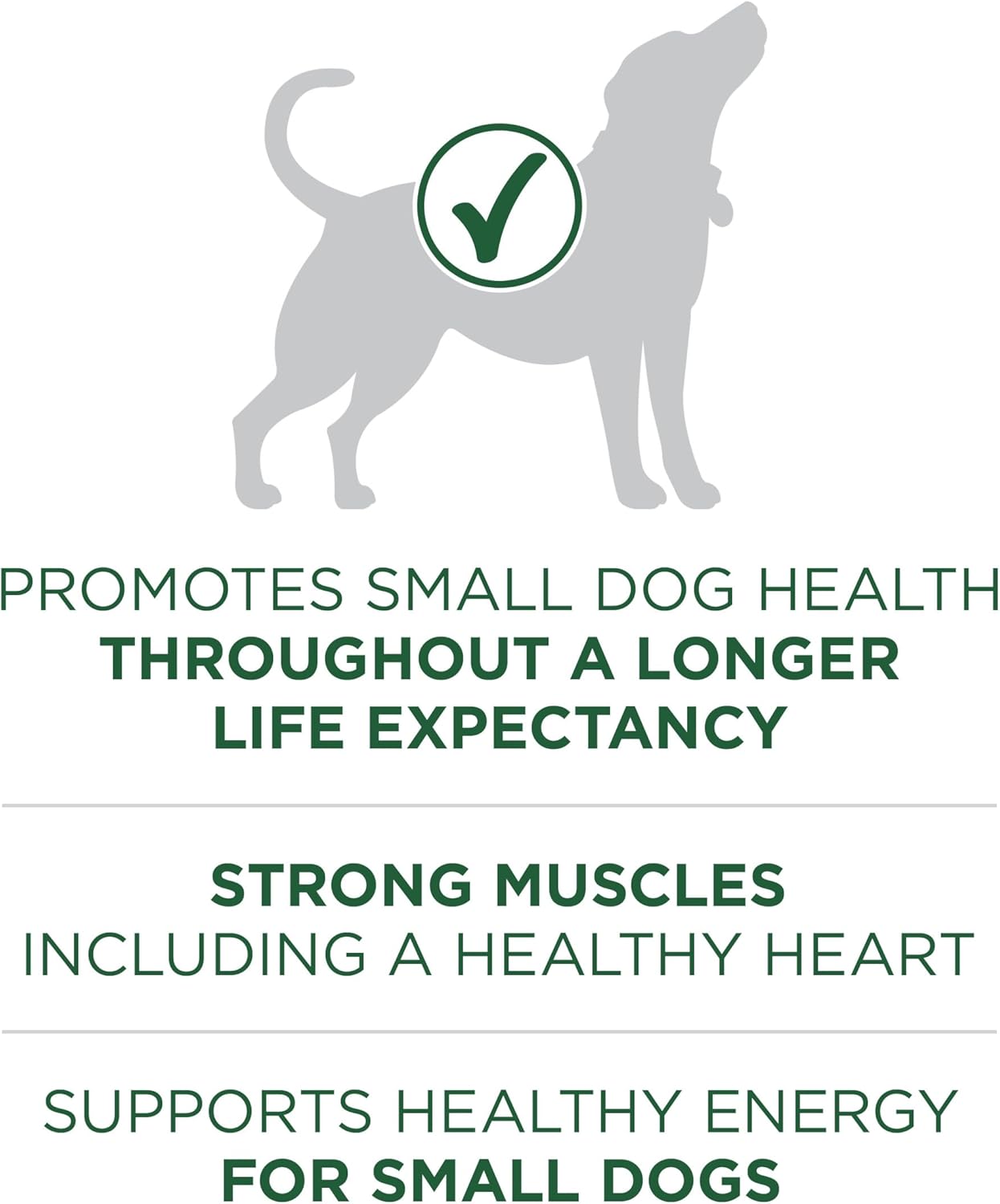 Purina ONE Plus Small Breed Lamb and Rice Formula Dry Dog Food - 7.4 lb. Bag - Image 3