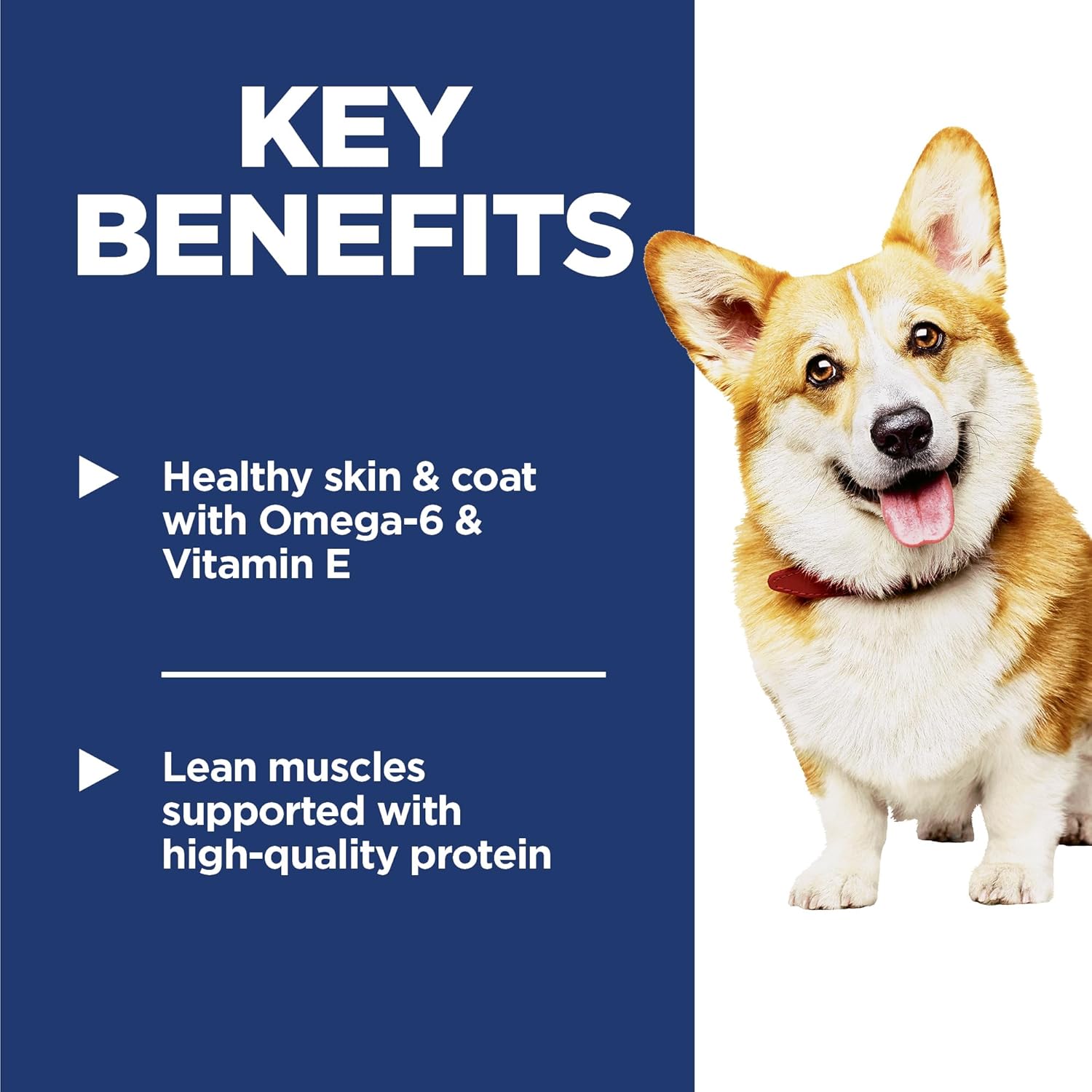 Hill's Science Diet Adult 1-6, Adult 1-6 Premium Nutrition, Small Kibble, Dry Dog Food, Chicken & Barley, 15 lb Bag - Image 4