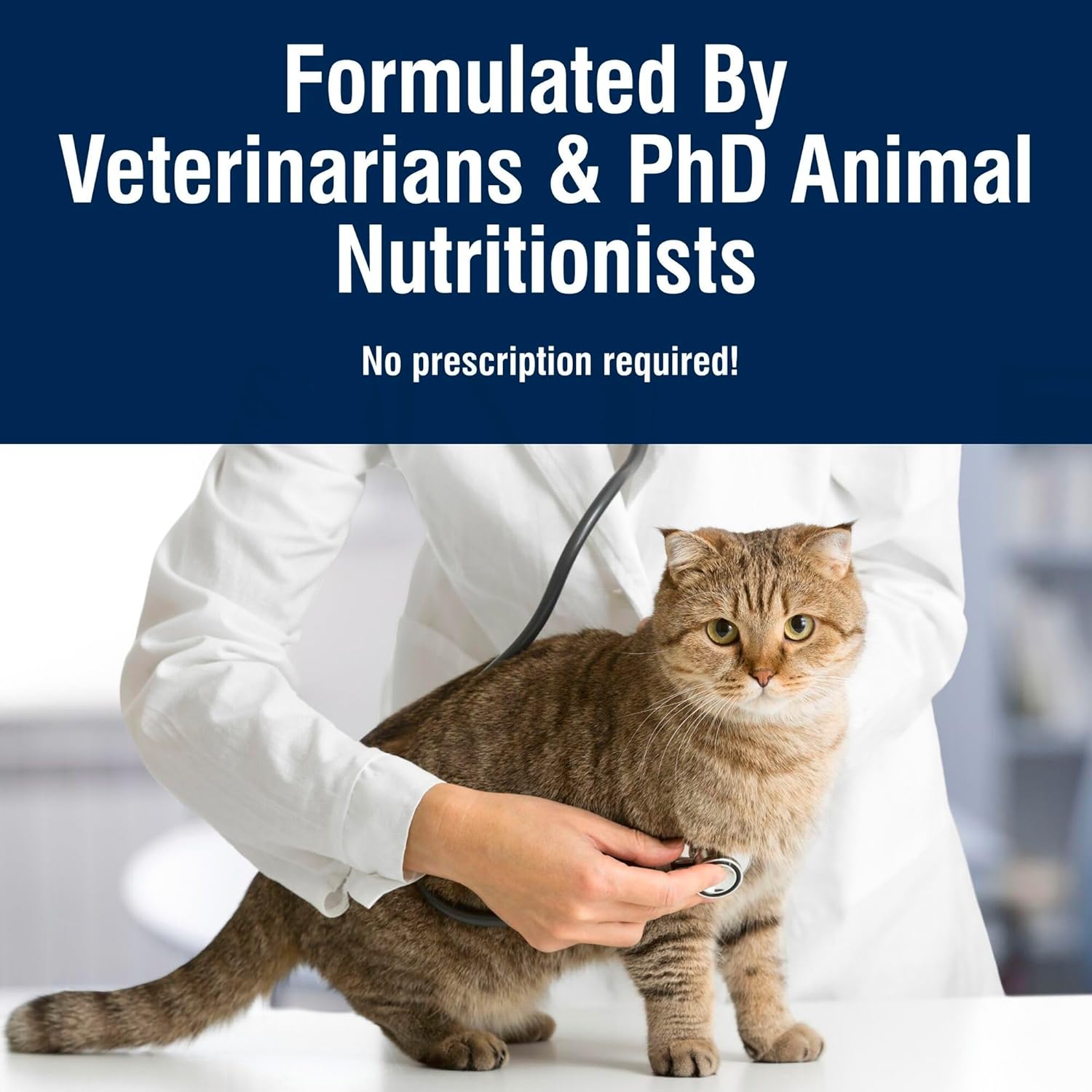 Blue Buffalo True Solutions Digestive Care Natural Dry Cat Food for Adult Cats, Chicken, 11-lb. Bag - Image 7