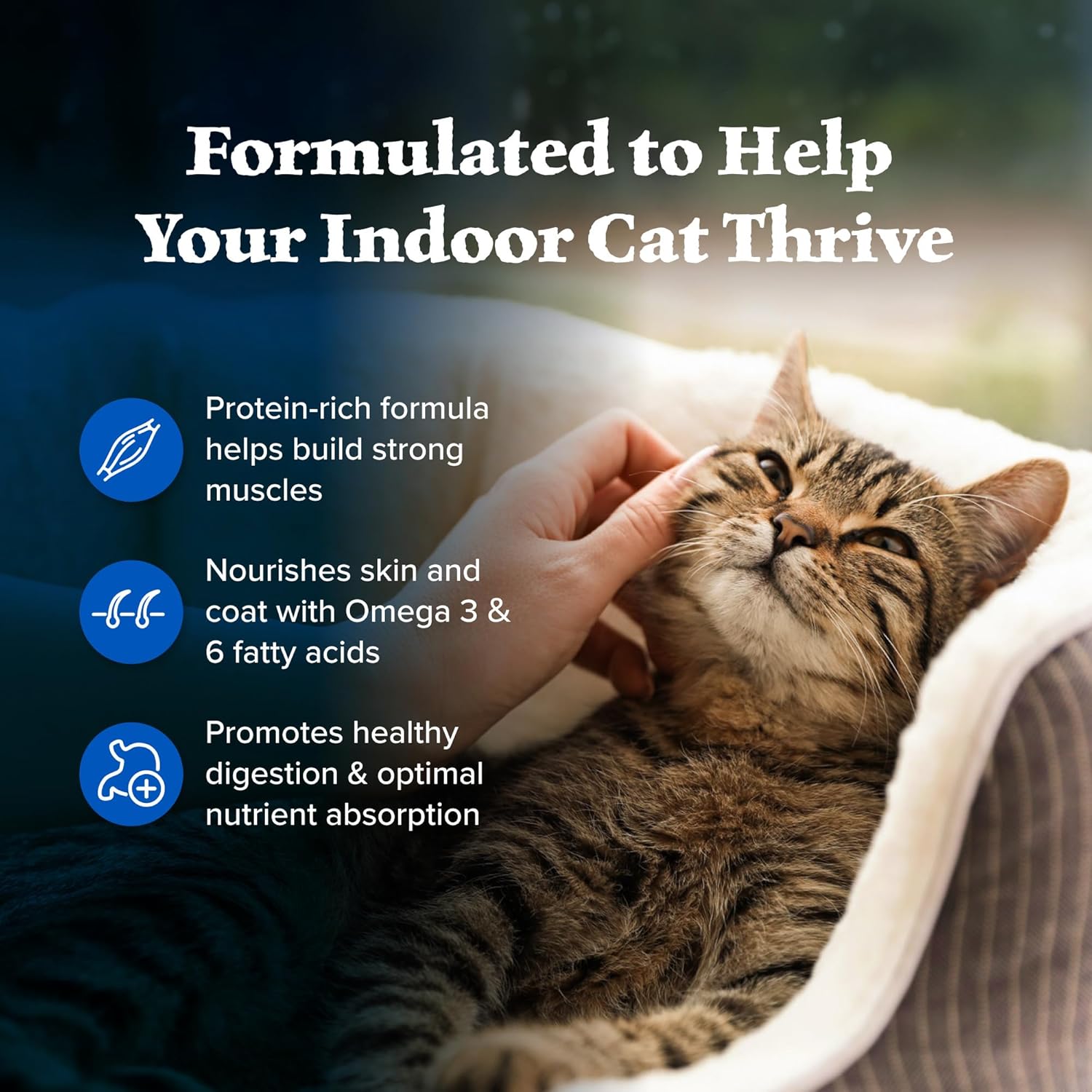 Blue Buffalo Wilderness Natural Adult Dry Cat Food Indoor Cats, High-Protein & Grain-Free, Chicken, 5-lb. Bag - Image 6