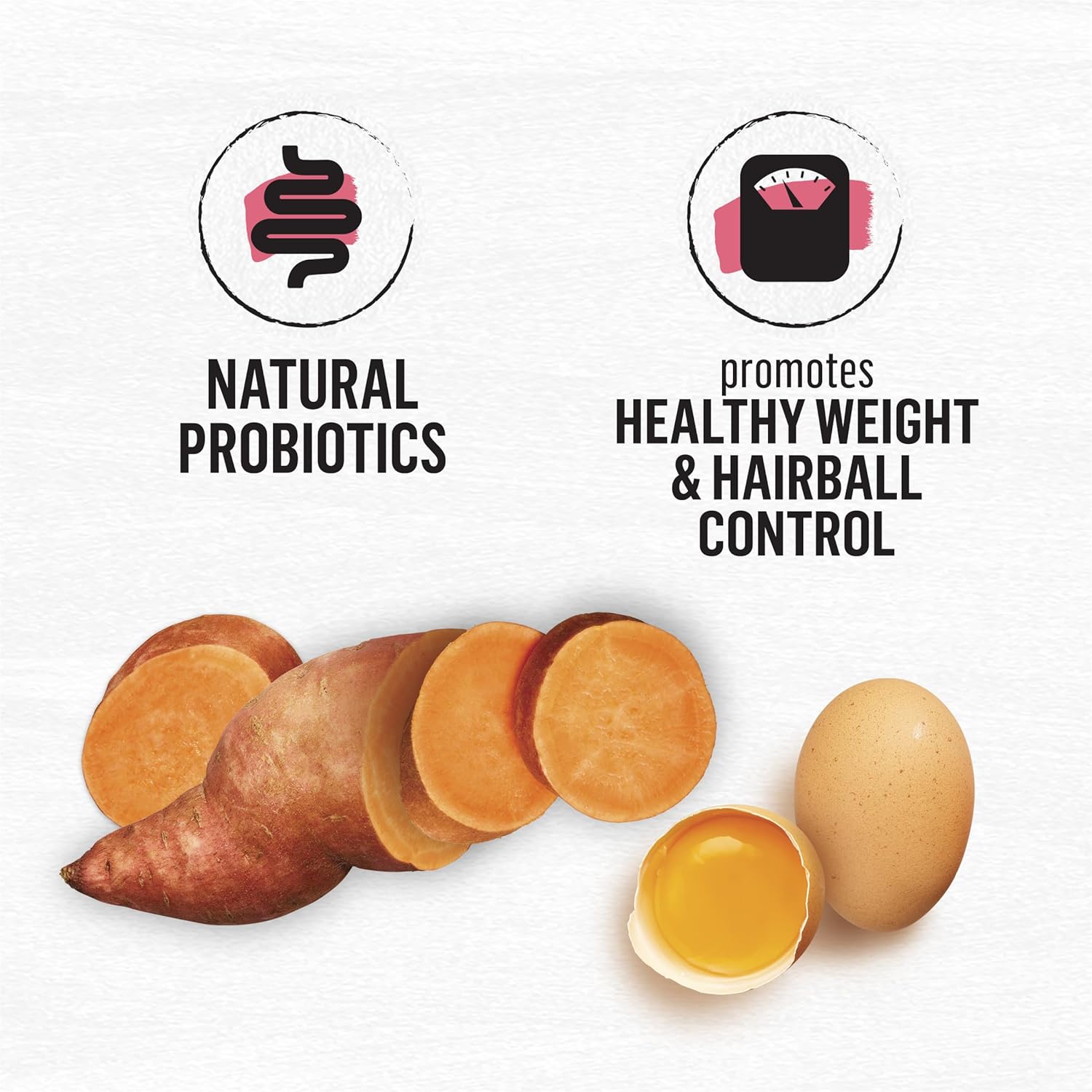 Purina Beyond Natural Grain Free Dry Cat Food Simply Indoor Salmon, Egg and Sweet Potato Recipe - 3 lb. Bag - Image 4