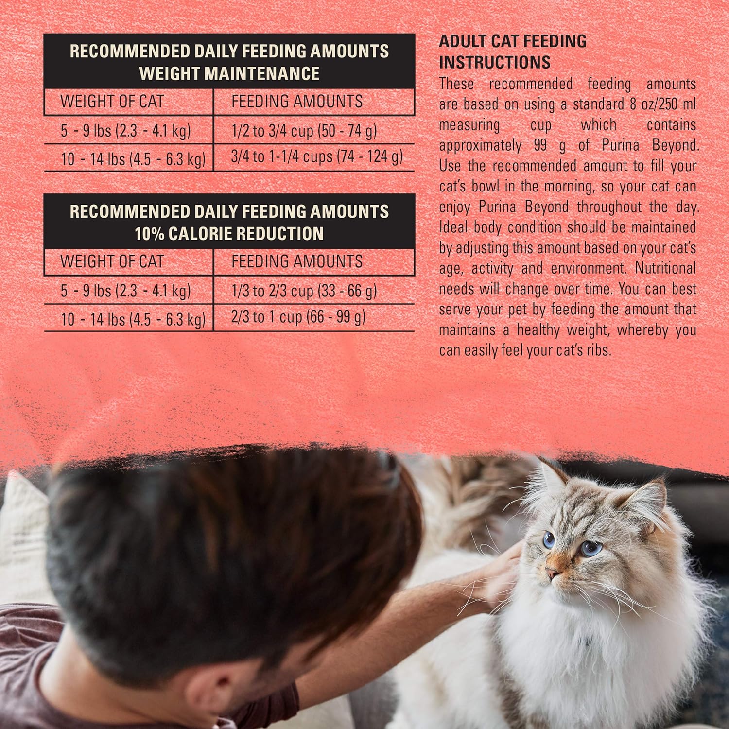 Purina Beyond Natural Grain Free Dry Cat Food Simply Indoor Salmon, Egg and Sweet Potato Recipe - 3 lb. Bag - Image 8